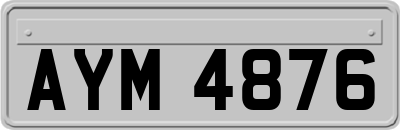 AYM4876
