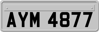 AYM4877