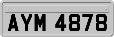 AYM4878
