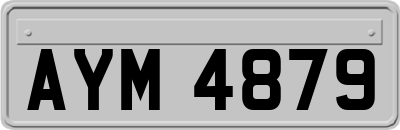 AYM4879