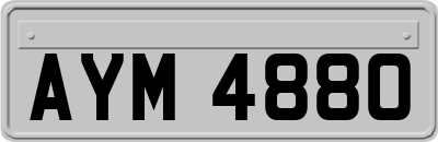 AYM4880