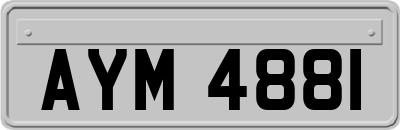 AYM4881