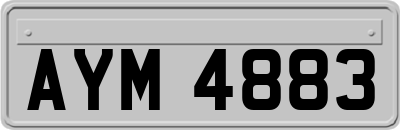 AYM4883
