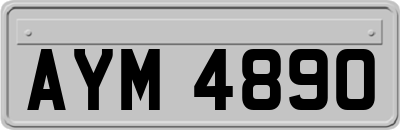 AYM4890
