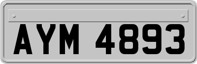 AYM4893