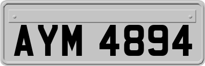 AYM4894