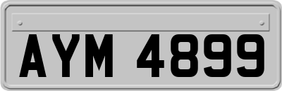AYM4899