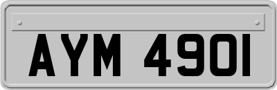 AYM4901