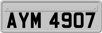 AYM4907