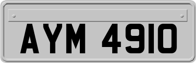 AYM4910