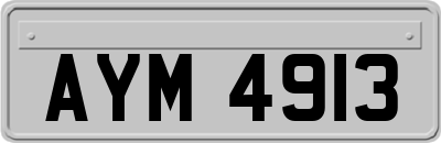 AYM4913