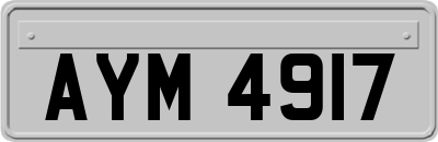 AYM4917