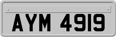 AYM4919