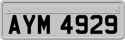 AYM4929