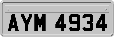 AYM4934