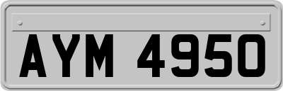 AYM4950