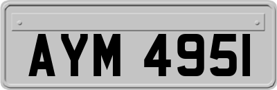 AYM4951
