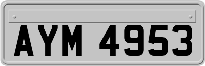 AYM4953