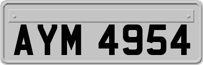 AYM4954