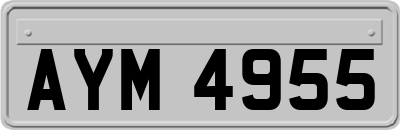AYM4955