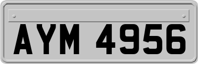 AYM4956