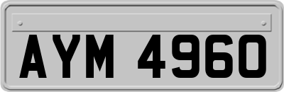 AYM4960