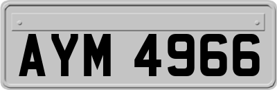 AYM4966