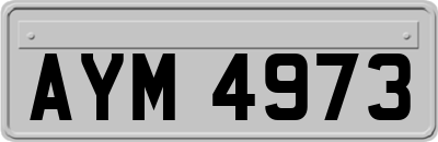 AYM4973