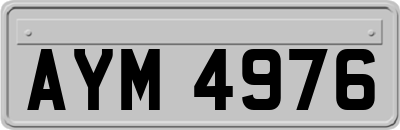 AYM4976