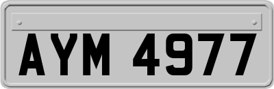 AYM4977