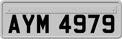 AYM4979