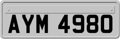 AYM4980
