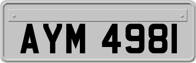 AYM4981