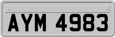 AYM4983