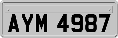 AYM4987