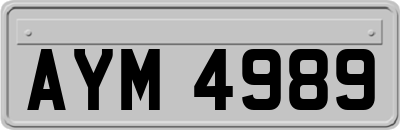 AYM4989