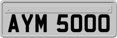 AYM5000