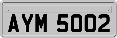 AYM5002
