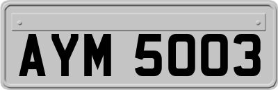 AYM5003