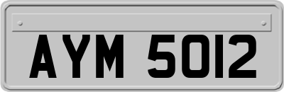 AYM5012