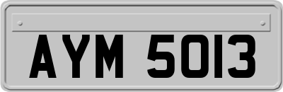 AYM5013