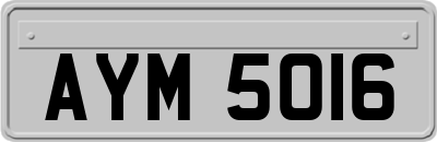 AYM5016