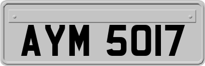 AYM5017