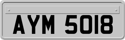 AYM5018