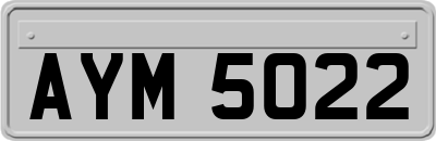 AYM5022