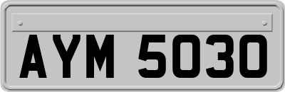 AYM5030