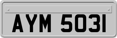 AYM5031