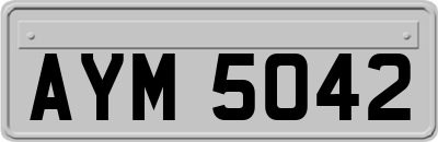 AYM5042