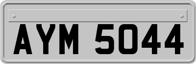 AYM5044