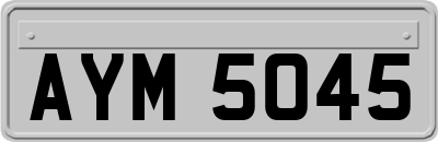 AYM5045
